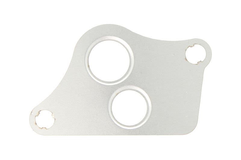 Uszczelka zaworu EGR AJUSA 01019000