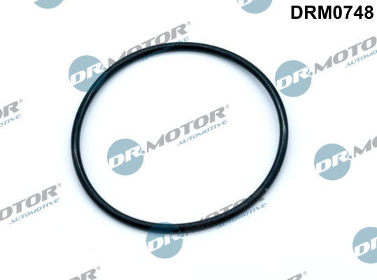 Uszczelka pompy podcisnieniowej DR.MOTOR AUTOMOTIVE DRM0748