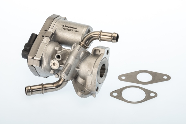 Zawór EGR BORGWARNER (WAHLER) 711023D/1