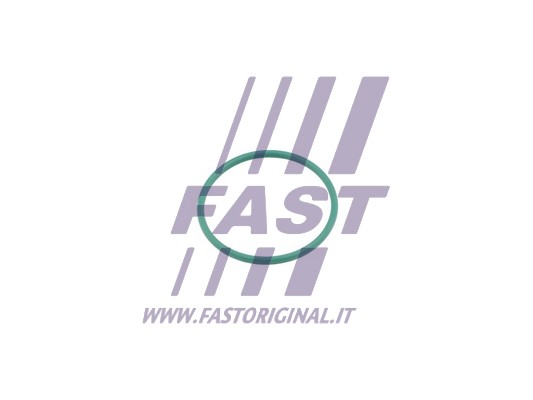 Uszczelniacz przewodu doładowującego FAST FT49921