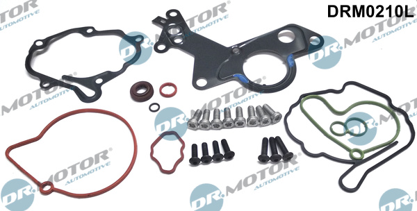 Zestaw naprawczy pompy podciśnienia DR.MOTOR AUTOMOTIVE DRM0210L