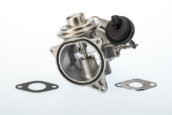 Zawór EGR BORGWARNER (WAHLER) 7650D/1
