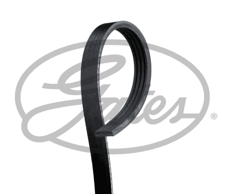 Pasek klinowy wielorowkowy GATES 4PK1055HD