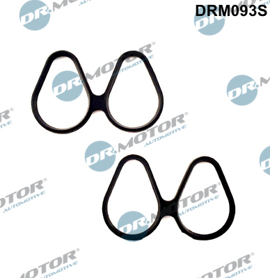 Zestaw uszczelek kolektora ssącego DR.MOTOR AUTOMOTIVE DRM093S