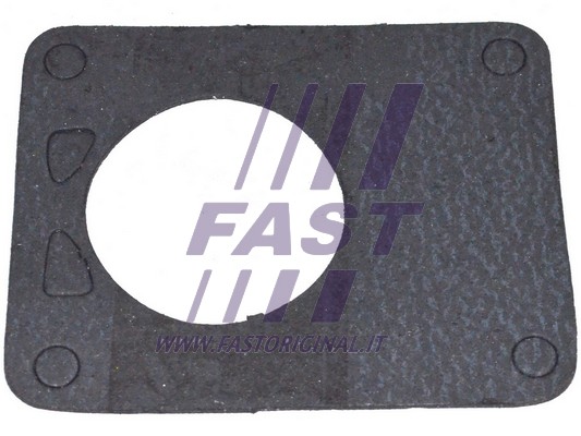 Uszczelka pompy podcisnieniowej FAST FT49901