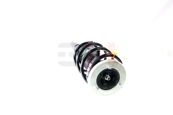 Amortyzator teleskopowy GH GH-351582C01