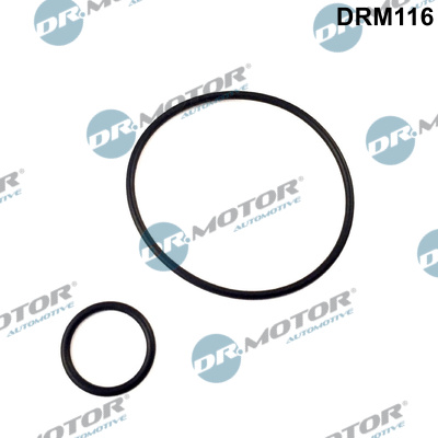 Zestaw uszczelek kolektora ssącego DR.MOTOR AUTOMOTIVE DRM116