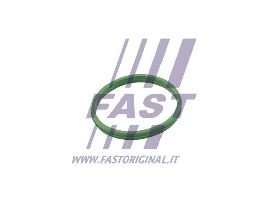 Uszczelka korka spustu oleju FAST FT49855