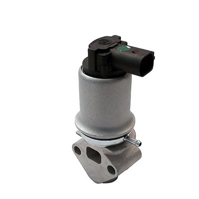 Zawór EGR MAGNETI MARELLI 571822112018