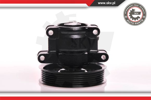 Pompa wspomagania ESEN SKV 10SKV019