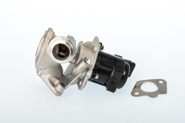 Zawór EGR BORGWARNER (WAHLER) 711020D/1