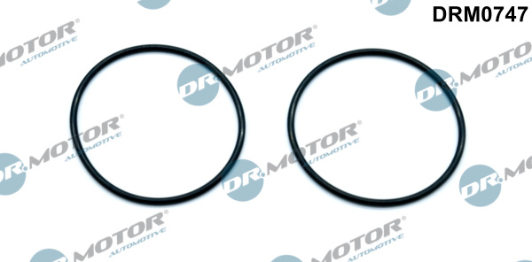 Uszczelka pompy podcisnieniowej DR.MOTOR AUTOMOTIVE DRM0747
