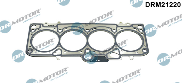 Zestaw uszczelek głowicy cylindrów DR.MOTOR AUTOMOTIVE DRM21220