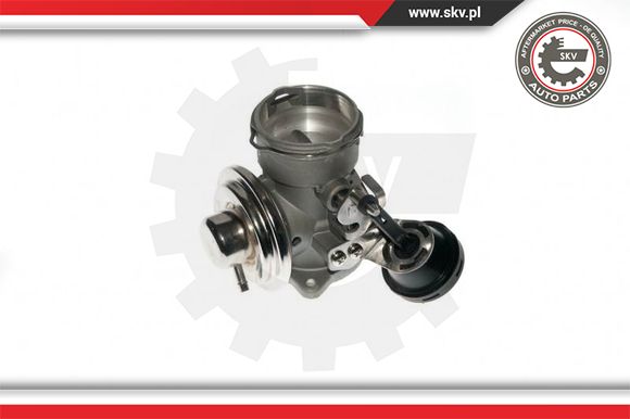 Zawór EGR ESEN SKV 14SKV090