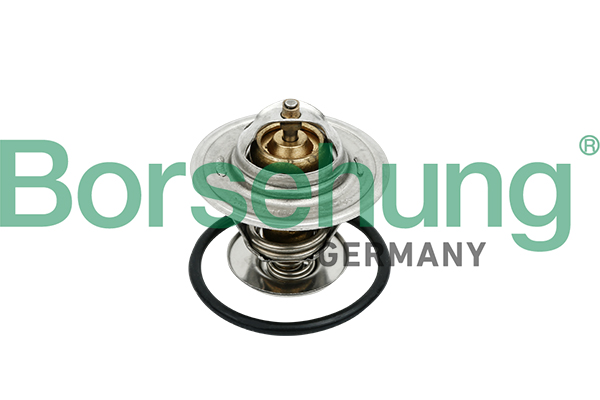 Termostat BORSEHUNG B18259