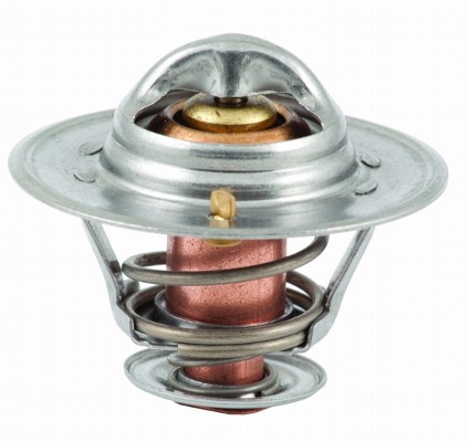Termostat MEAT & DORIA 92544