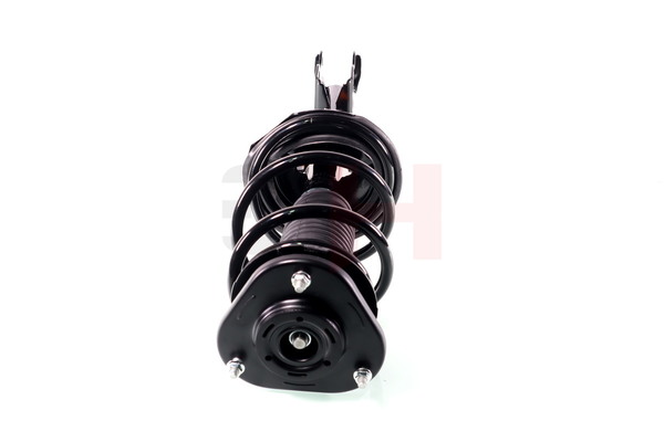 Amortyzator teleskopowy GH GH-354573C01