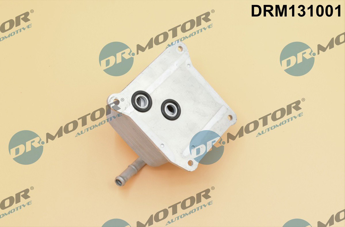Chłodnica oleju silnikowego DR.MOTOR AUTOMOTIVE DRM131001