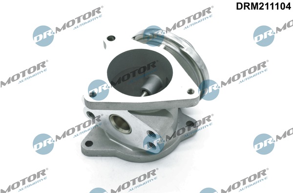 Zawór EGR DR.MOTOR AUTOMOTIVE DRM211104