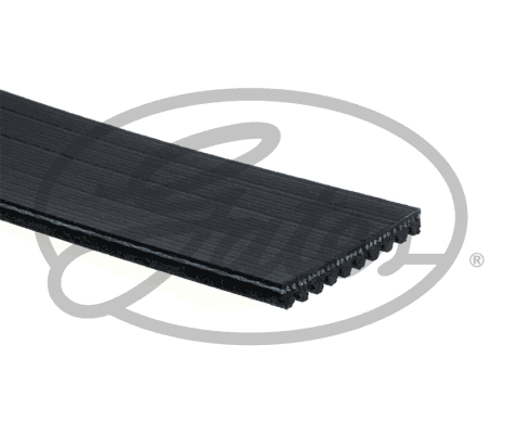 Pasek klinowy wielorowkowy GATES 10PK1335HD