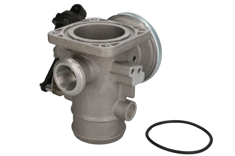 Zawór EGR NRF 48620