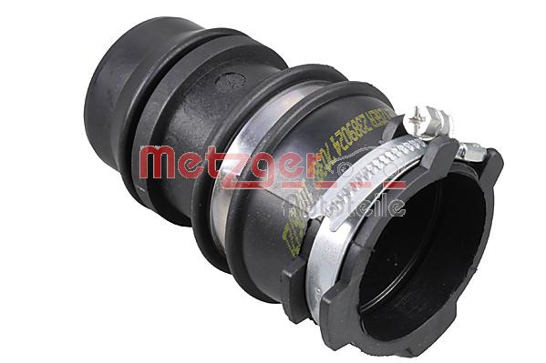METZGER 2389024