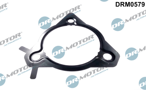 Pierścień uszczelniający DR.MOTOR AUTOMOTIVE DRM0579