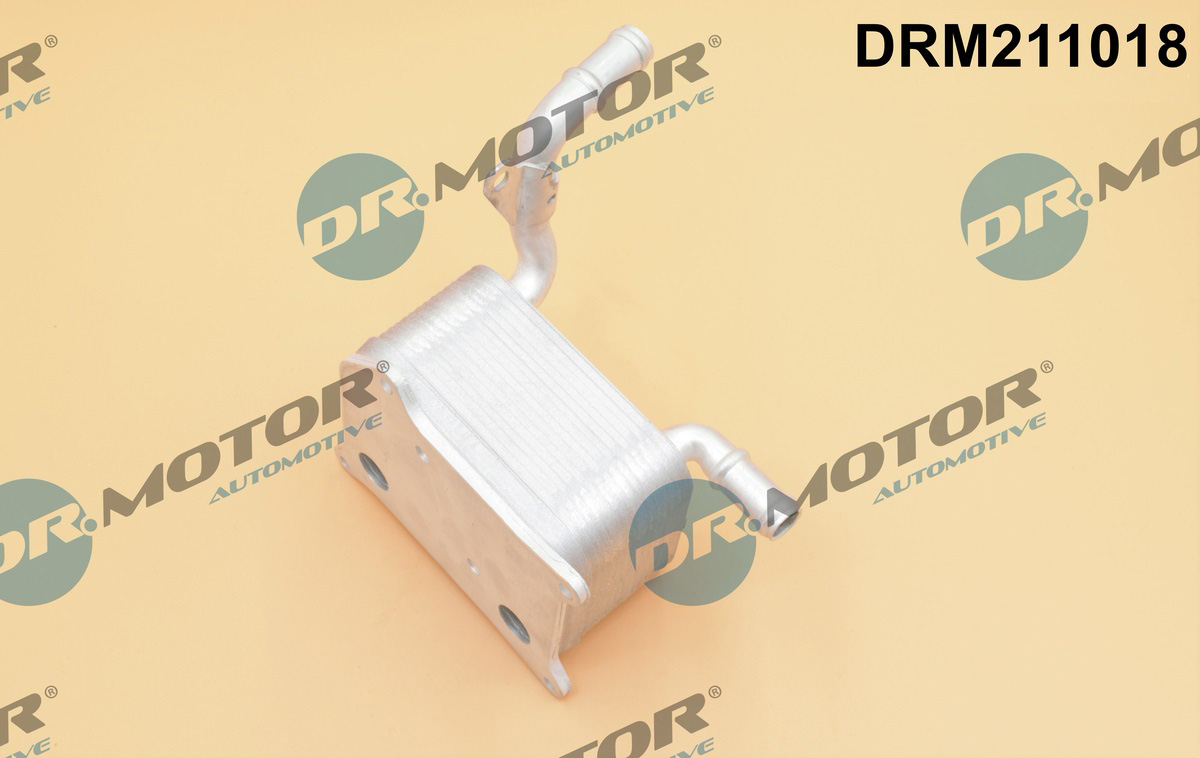 Chłodnica oleju silnikowego DR.MOTOR AUTOMOTIVE DRM211018