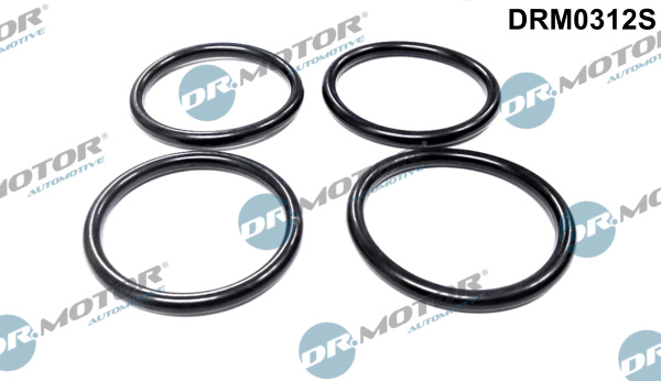 Zestaw uszczelek kolektora ssącego DR.MOTOR AUTOMOTIVE DRM0312S