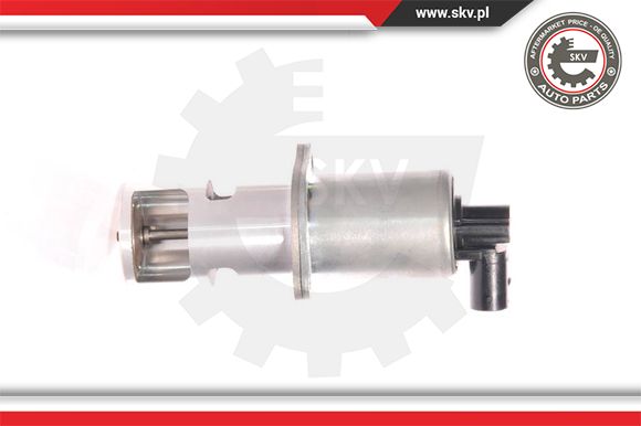 Zawór EGR ESEN SKV 14SKV010