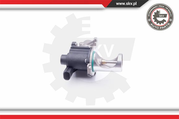 Zawór EGR ESEN SKV 14SKV172