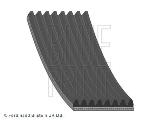 Pasek klinowy wielorowkowy BLUE PRINT AD08R1355