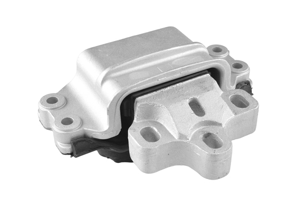 Poduszka silnika TEDGUM TED13881