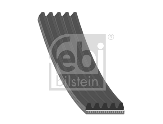Pasek klinowy wielorowkowy FEBI BILSTEIN 175844