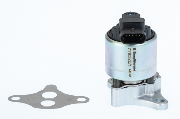 Zawór EGR BORGWARNER (WAHLER) 711032D/1