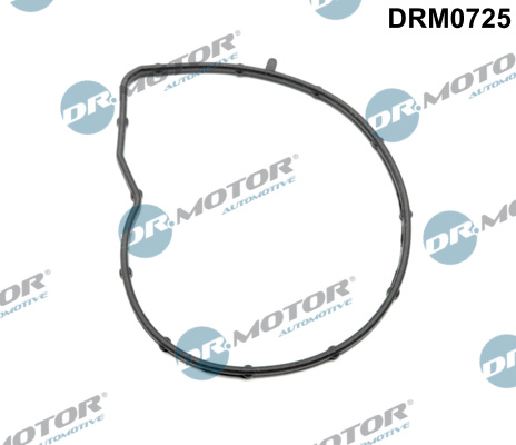 Uszczelka pompy wody DR.MOTOR AUTOMOTIVE DRM0725