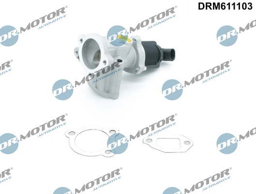 Zawór EGR DR.MOTOR AUTOMOTIVE DRM611103