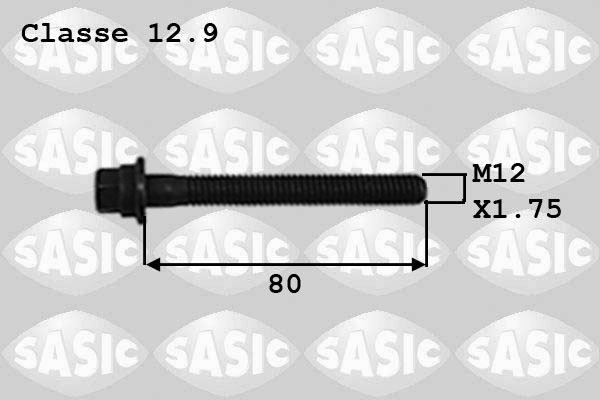 SASIC 8700012