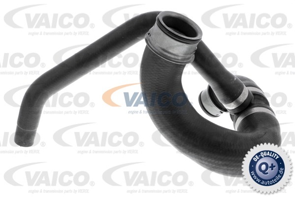 Przewód układu chłodzenia VAICO V30-3147