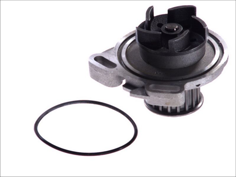 Pompa wody MAGNETI MARELLI 352316171190