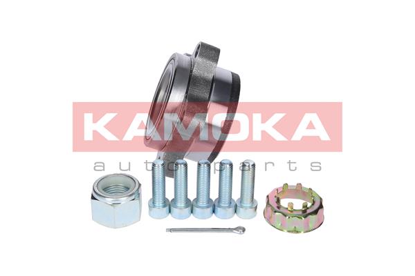 Zestaw łożysk koła KAMOKA 5500129
