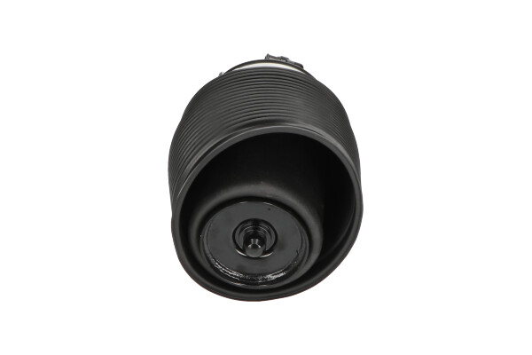 Poduszka powietrzna, zawieszenie KAVO PARTS SAS-10016