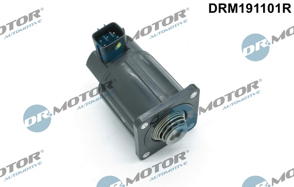 Zawór EGR DR.MOTOR AUTOMOTIVE DRM191101R