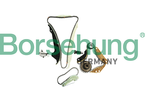 Zestaw łańcucha rozrządu BORSEHUNG B19254