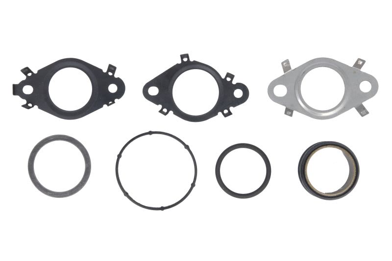 Zestaw uszczelek  systemu AGR ELRING 797.350