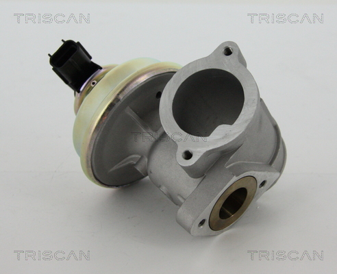 Zawór EGR TRISCAN 8813 16102