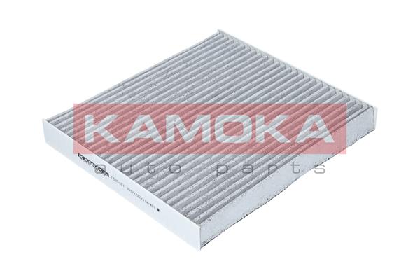 Filtr kabinowy KAMOKA F505401