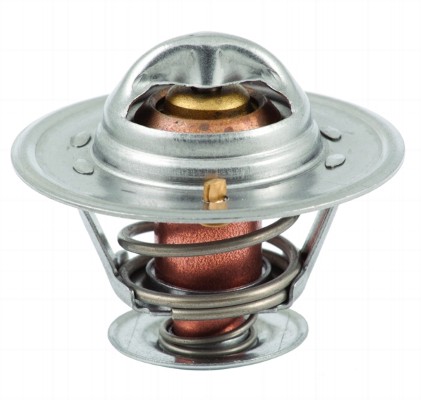 Termostat MEAT & DORIA 92213