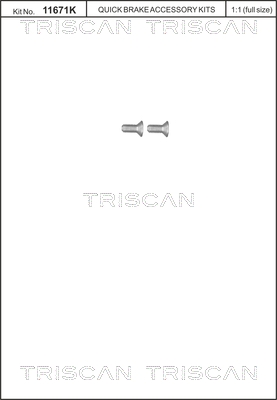 Śruba tarczy hamulcowej TRISCAN 8105 116012