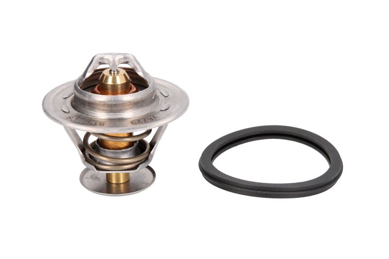 Termostat CALORSTAT BY VERNET TH1515.81J